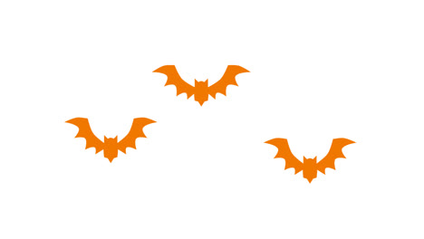 Bat-Transitions.-1080p---30-fps---Alpha-Channel-(2)